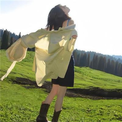 探案新窍门 第五季