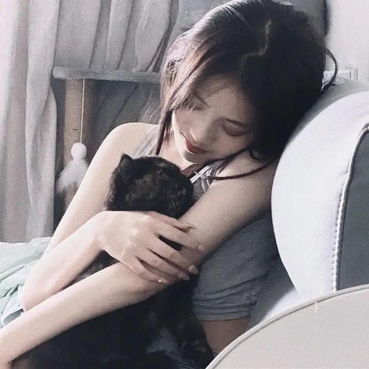 毛毛虫波罗